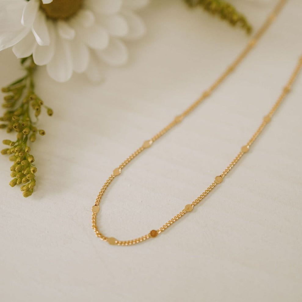 Nora Gold Filled Necklace - WonderingCloth