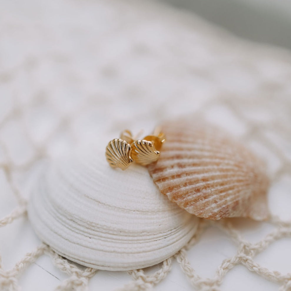Sea Shell Studs - WonderingCloth