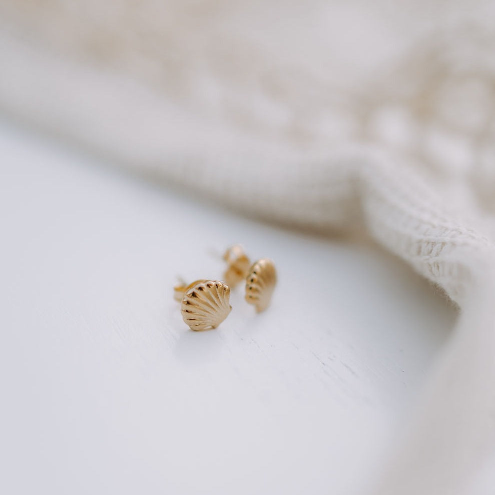 Sea Shell Studs - WonderingCloth
