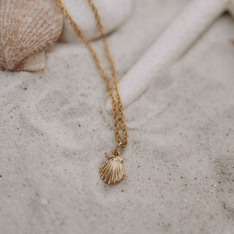 Sea Shell Necklace - WonderingCloth
