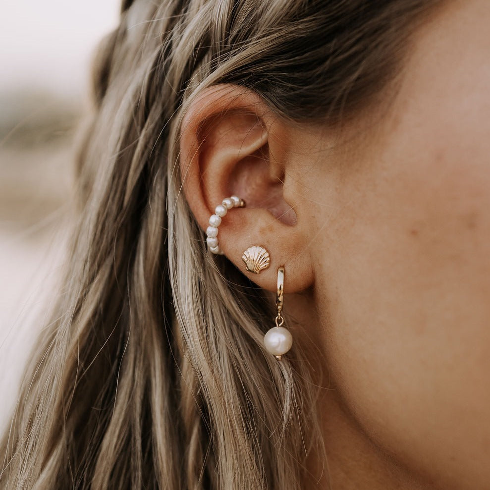 Sea Shell Studs - WonderingCloth