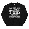I Was Told To Check My Attitude Sweatshirt - WonderingCloth