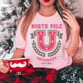 North Pole University Tee - WonderingCloth